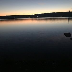 Meet your Posher, Louis